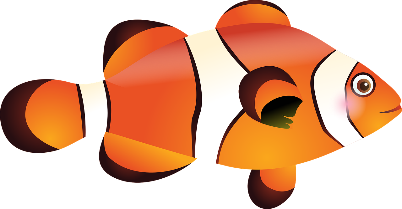 Clownfish