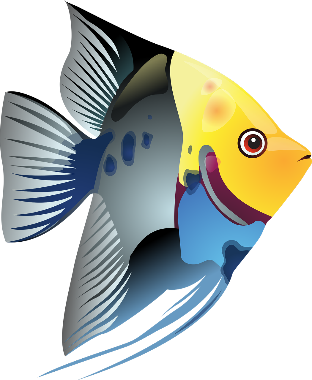 Fish 2